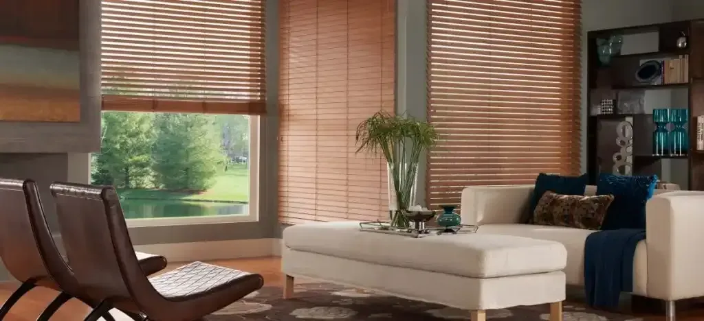 Living room with wood blinds and a white couch