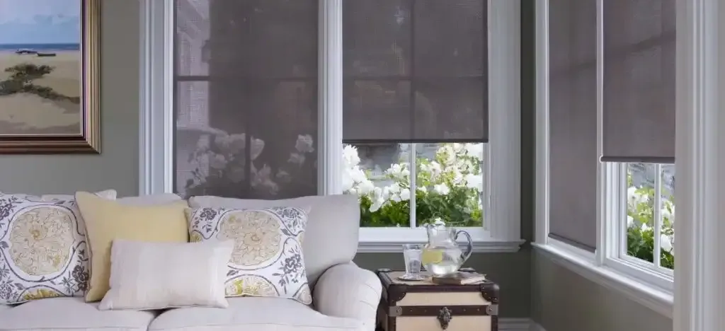 Living room with sofa, windows, and shades.  A painting hangs on the wall.  The windows look out onto greenery.